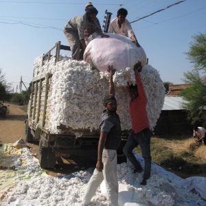 QUESTIONING DEVELOPMENT: MODELS, DYNAMICS, IMPACTS